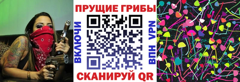 Галлюциногенные грибы Psilocybe  Горячеводский 